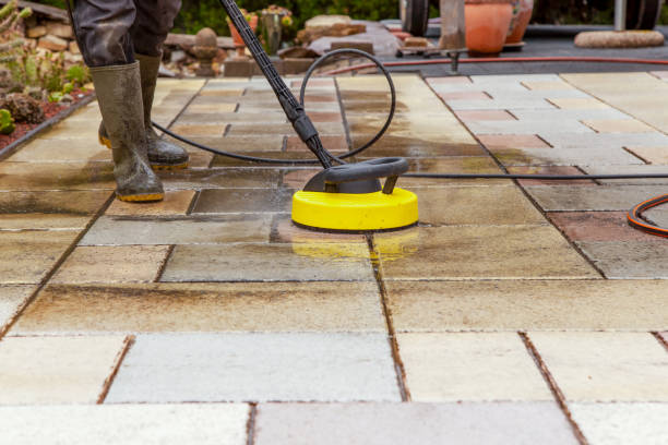 Best Solar Panel Cleaning  in Greenville, PA