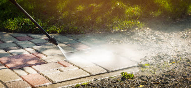 Best Soft Washing  in Greenville, PA